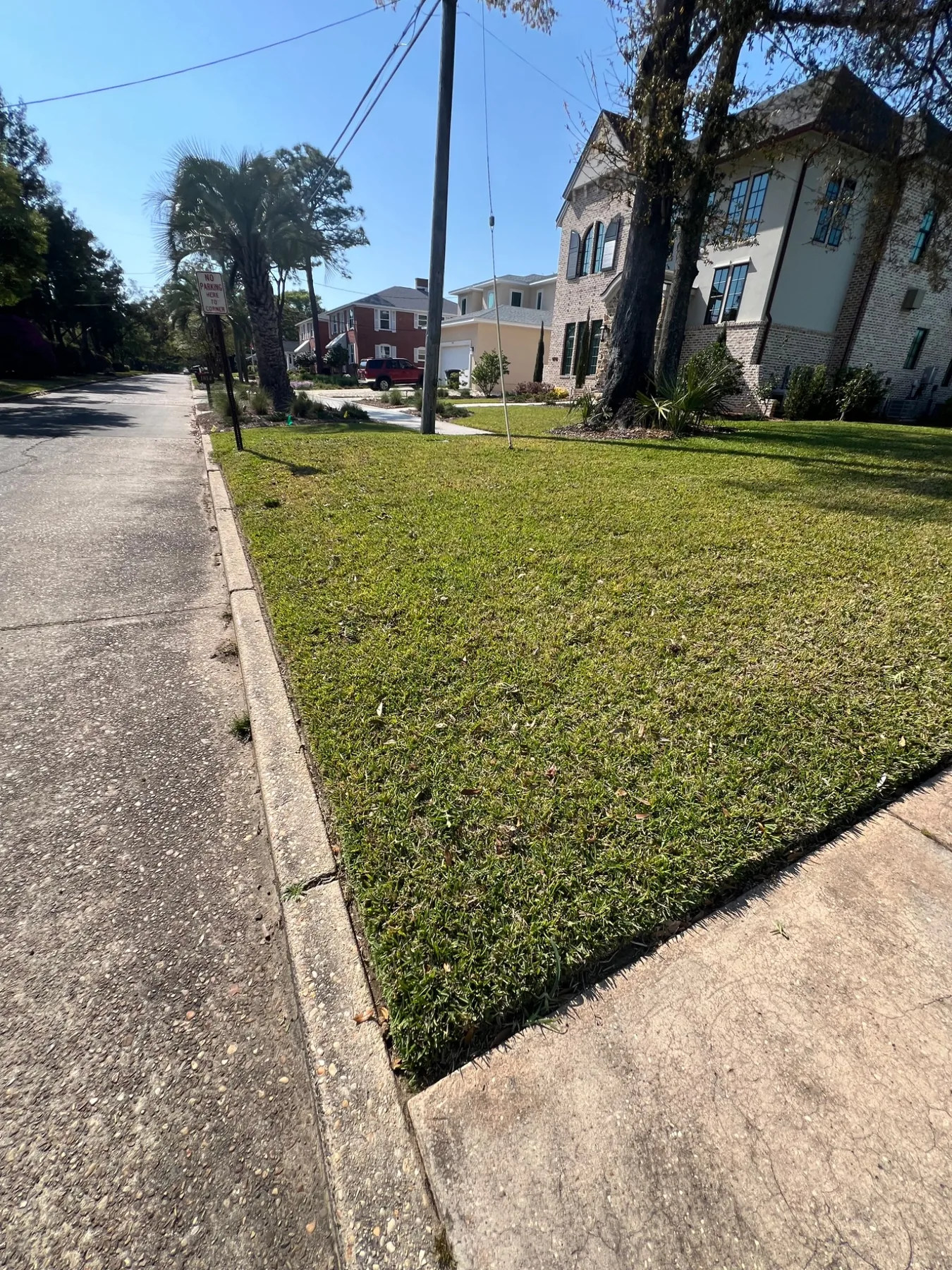 Front lawn and walkway maintenance