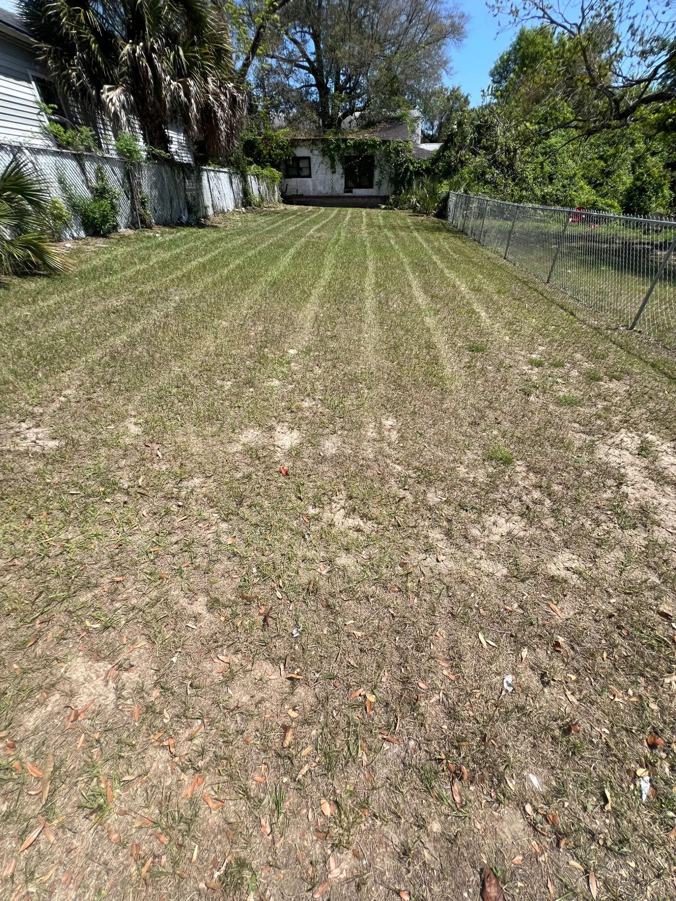 Striped backyard lawn finish
