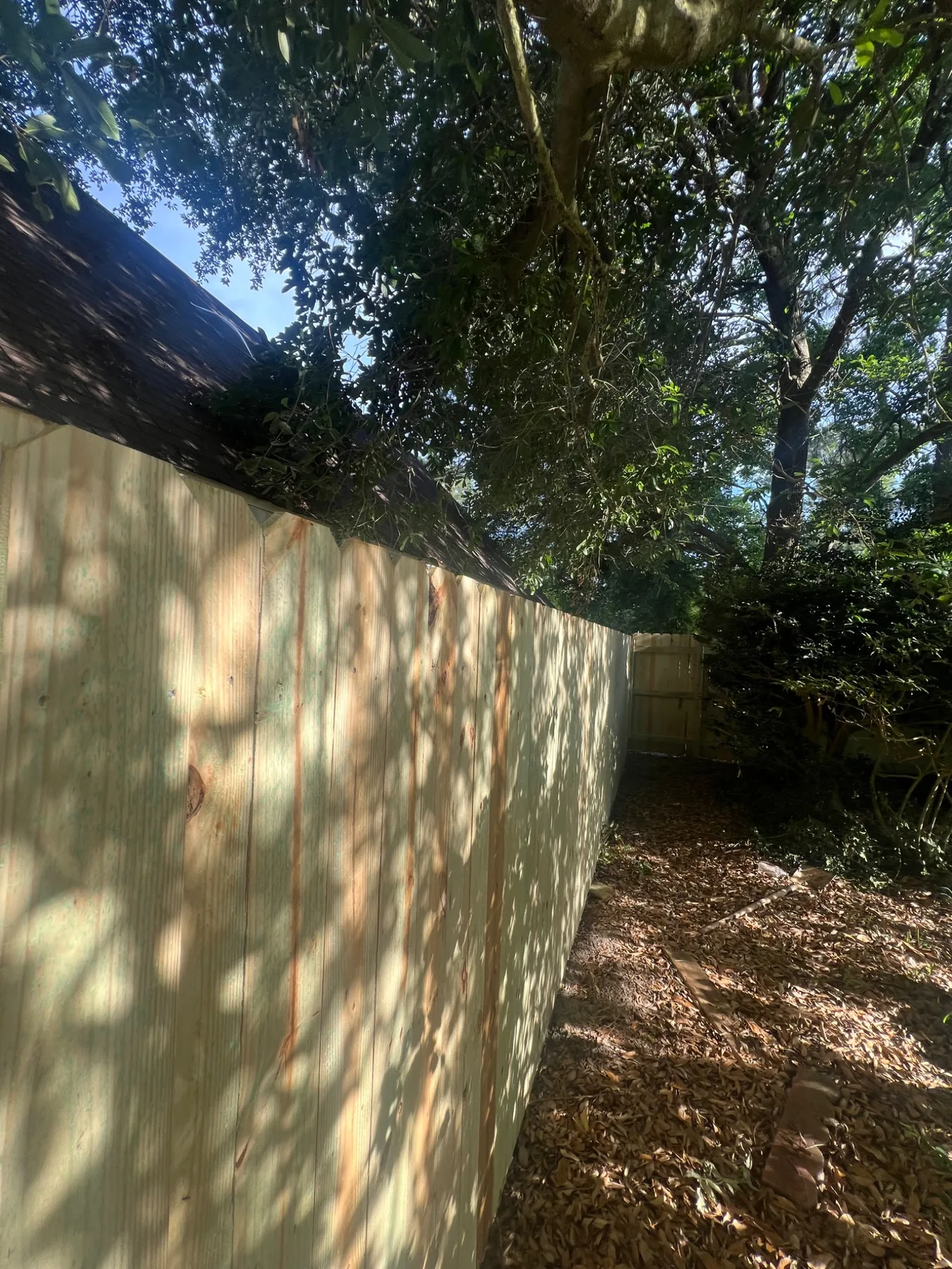 Shaded residential privacy fence